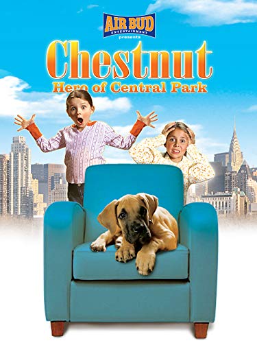 Chestnut_Hero Of Central Park