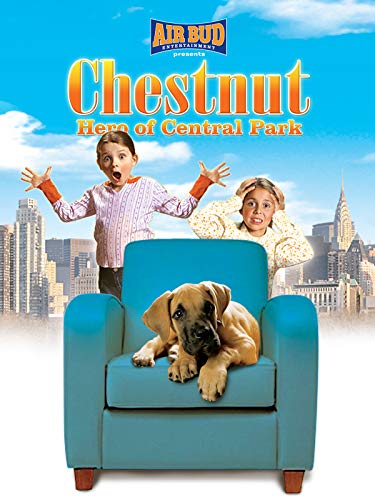 Chestnut_Hero Of Central Park Chestnut_Hero Of Central Park