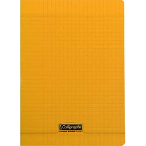 Clairefontaine 24 x 32 cm cuadrado 5/5 Staple Bound Notebook con 24 hojas – translúcido