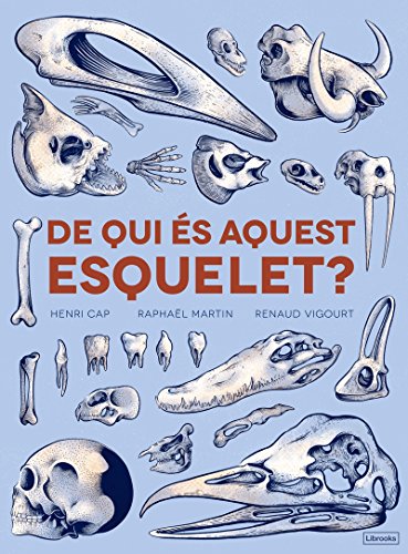 De qui és aquest esquelet? (Imagina)