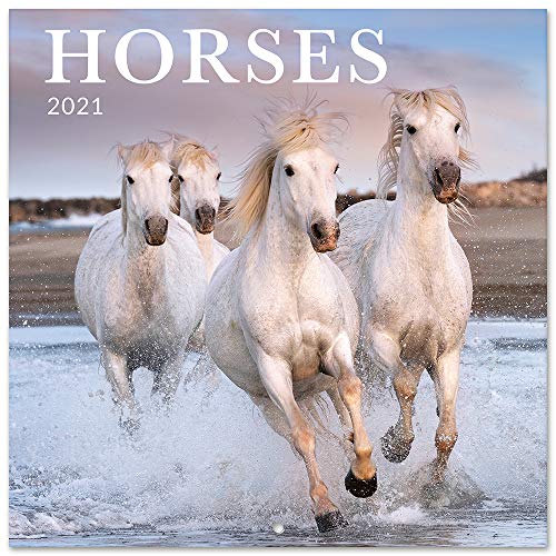 ERIK - Calendario de pared 2021 Caballos, 30x30 cm ERIK - Calendario de pared 2021 Caballos, 30x30 cm