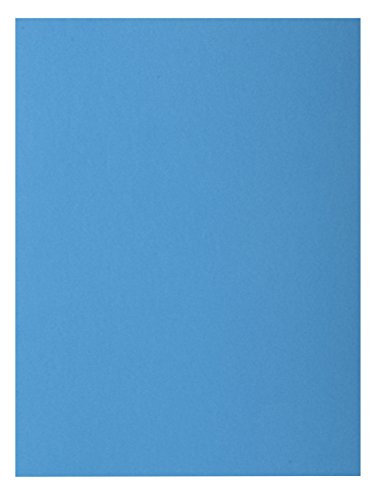 Exacompta 800019E - Lote de 100 Subcarpetas Rock"S 80, Color Azul Exacompta 800019E - Lote de 100 Subcarpetas Rock"S 80, Color Azul