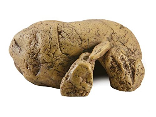 Exo Terra Cueva Natural Hiding Mediana Exo Terra Cueva Natural Hiding Mediana