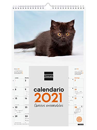 Finocam - Calendario de pared 2021 Escribir Imágenes Espiral 250x400 mm - espiral Gatitos Español