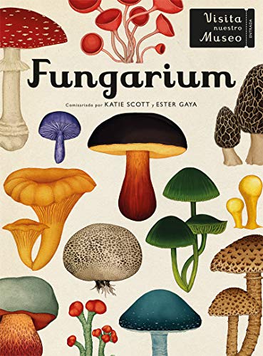 Fungarium: 33 (El chico amarillo) Fungarium: 33 (El chico amarillo)