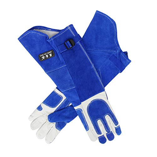 Funhoo Guantes Anti-mordedura/Rasguño de Manipulación de Animales, Piel de Vaca Engrosada, Guantes de Protección Seguros y Duraderos para Mordidas de Perros, Gato, Ave, Serpiente, Lizard - Azul (L) Funhoo Guantes Anti-mordedura/Rasguño de Manipulación de Animales, Piel de Vaca Engrosada, Guantes de Protección Seguros y Duraderos para Mordidas de Perros, Gato, Ave, Serpiente, Lizard - Azul (L)
