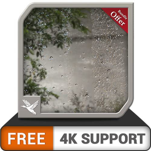 gratis rain rainy jungle HD - tema de lluvia llena de paz para Navidad en tu TV HDR 8k 4k y dispositivos de fuego como fondo de pantalla y tema para mediación y paz