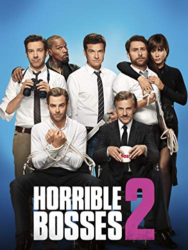 Horrible Bosses 2