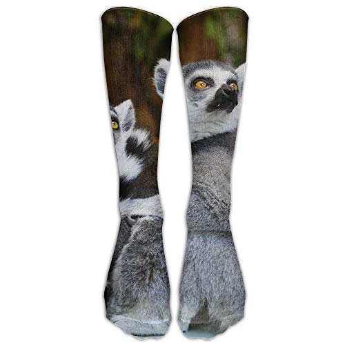 Houlipeng Animals Lemurs Wild Nature Fashion Women's Men's Sports High Stockings Long Socks