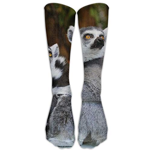 Houlipeng Animals Lemurs Wild Nature Fashion Women's Men's Sports High Stockings Long Socks Houlipeng Animals Lemurs Wild Nature Fashion Women's Men's Sports High Stockings Long Socks