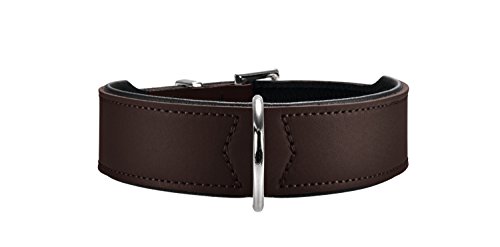 Hunter - Collar de perro, marrón, 24-28,5 cm, 2,6 cm ancho