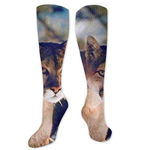 iuitt7rtree Wild Cougar in Snow Wildlife Mountain Lion Compression Socks for Women & Men - Best,Travel & Flight Socks