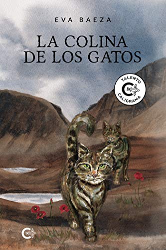 La colina de los gatos (Talento) La colina de los gatos (Talento)