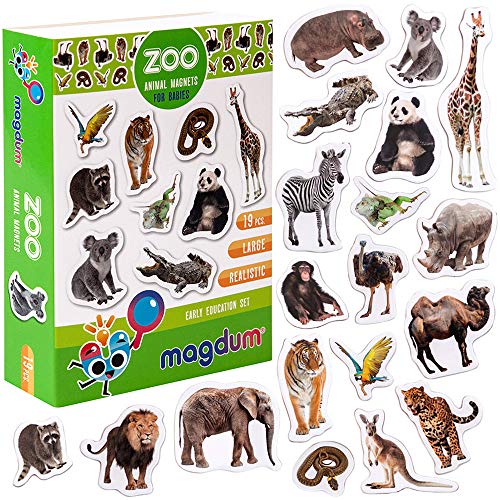 MAGDUM Imanes Animales Zoo Foto Real Infantil para niños - Imanes Nevera Grandes - Juguetes ED-UCATIVOS bebé 3 años - Imanes Pizarra magnética para Aprender – Set Teatro de imán para bebé