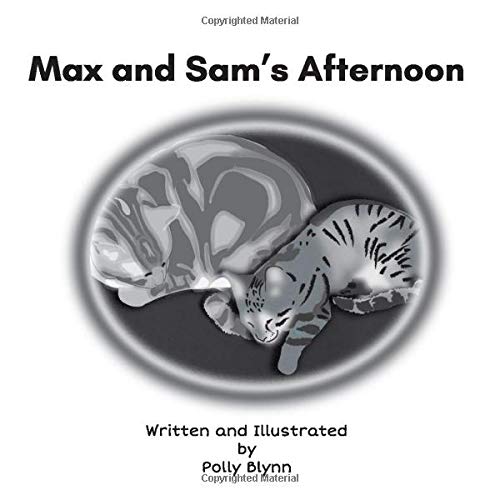 Max and Sam's Afternoon