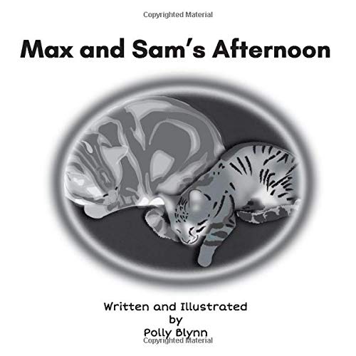 Max and Sam's Afternoon Max and Sam's Afternoon