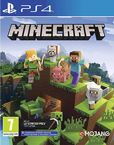 Minecraft Bedrock pour PS4 [Importación francesa]