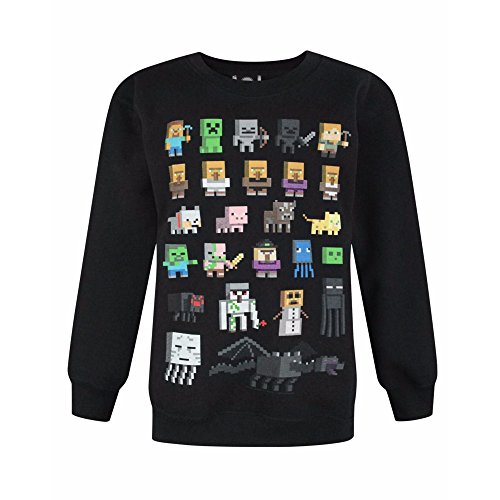Minecraft Sprites Boy's Black Sweatshirt (9-10 Years)
