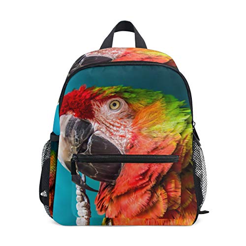 Mochila pequeña para colegio, guacamayo, loro, puja, periquito, para niñas, niños, mini mochila de viaje, primaria, preescolar, estudiante Mochila pequeña para colegio, guacamayo, loro, puja, periquito, para niñas, niños, mini mochila de viaje, primaria, preescolar, estudiante