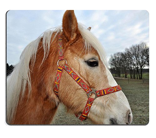 MSD Caucho Natural Gaming Mousepad imagen ID: 8427855 caballo de color marrón con un bonito blanco melena y colorful Halter