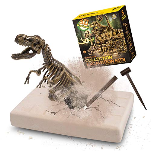 MUSCCCM Dinosaur Dig Kit, Dino Skeleton Fossil Excavation Kit Realistic Dinosaur Model Juguetes educativos Regalo para Niños Niñas