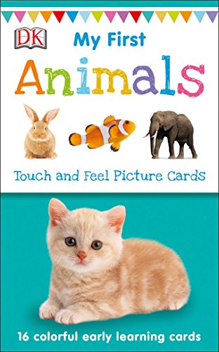 My First Touch And Feel Picture Cards