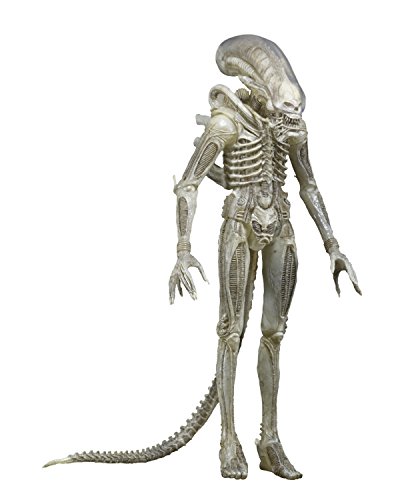 NECA Figura de acción Aliens Series 7 Concept 79' (Escala de 7")