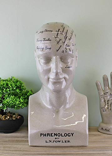 NIL Frenología de cerámica cabeza Fortuna Declaración de la Fortuna Bumps de cráneo para rasgos mentales
