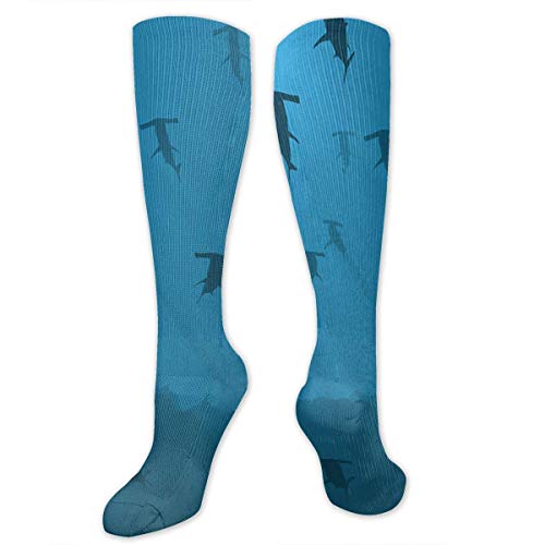 ouyjian Big Tall Casual Sports Socks for Men Hammerhead Shark Blue Fish Unisex Non Slip Boot Socks Long Media Women Training ouyjian Big Tall Casual Sports Socks for Men Hammerhead Shark Blue Fish Unisex Non Slip Boot Socks Long Media Women Training