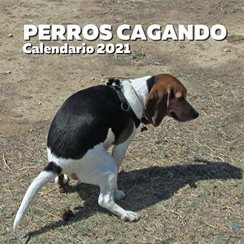 Perros Cagando Calendario 2021: Regalos Gracioso Para Amantes de los Perros | Divertidos Para Amigos, Mujer, Hombre, Adolescentes, Adultos, Cumpleaños, Navidad