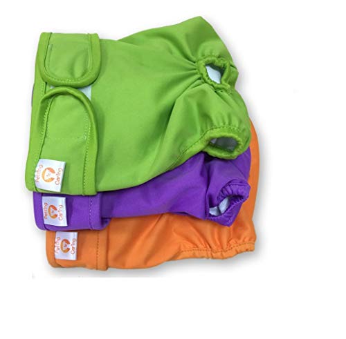 PETTING IS CARING Pañales Lavables para Perros Paquete de 3 Unidades - Pañales para Perras Materiales de la Mejor Calidad MÁQUINA Durable Lavable Solución para INCONTINENCIA S PETTING IS CARING Pañales Lavables para Perros Paquete de 3 Unidades - Pañales para Perras Materiales de la Mejor Calidad MÁQUINA Durable Lavable Solución para INCONTINENCIA S