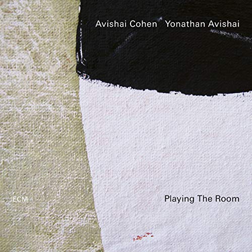 Playing The Room [Vinilo]