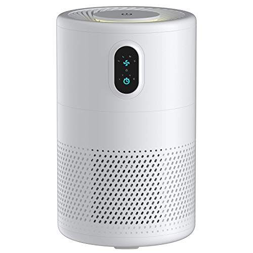 Purificador de Aire, con Filtro HEPA H13, 3 Velocidades para Hogar y Oficina, Temporizador, Luz Nocturna, Generador de Iones Libre de Ozono, para Alergia, Tabaco, Caspa de Mascotas Purificador de Aire, con Filtro HEPA H13, 3 Velocidades para Hogar y Oficina, Temporizador, Luz Nocturna, Generador de Iones Libre de Ozono, para Alergia, Tabaco, Caspa de Mascotas