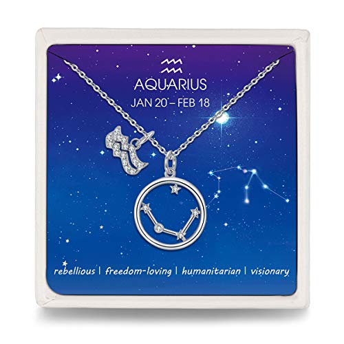 Qings Acuario Constelación Collar Signo del Zodiaco Símbolo Disco Colgante Cadena de Ajustable Collares