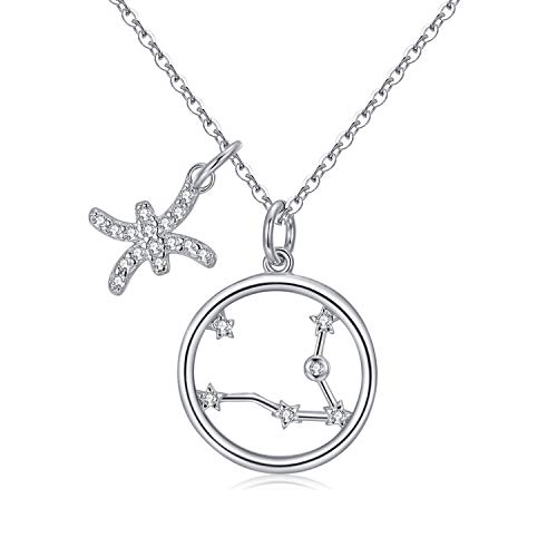 Qings Collar Plata Mujer Zodíaco Piscis BFF Amigas Amistad Collares Símbolos del Astrología Colgante Horóscopo Cumpleaños Regalo para Mujer Niña Fiesta Qings Collar Plata Mujer Zodíaco Piscis BFF Amigas Amistad Collares Símbolos del Astrología Colgante Horóscopo Cumpleaños Regalo para Mujer Niña Fiesta