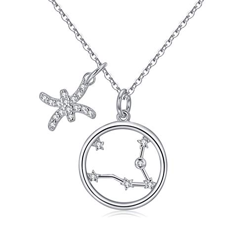 Qings Collar Plata Mujer Zodíaco Piscis BFF Amigas Amistad Collares Símbolos del Astrología Colgante Horóscopo Cumpleaños Regalo para Mujer Niña Fiesta