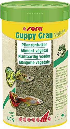 Sera Guppy Gran Alimento de Plantas o pienso Vegetal para Peces, granulado Blando de Lento hundimiento para Guppy, Espada, Platy, Molly y pez Mariposa Sera Guppy Gran Alimento de Plantas o pienso Vegetal para Peces, granulado Blando de Lento hundimiento para Guppy, Espada, Platy, Molly y pez Mariposa