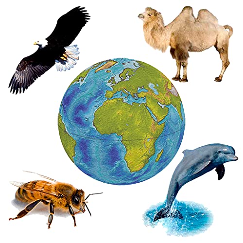Sonidos de Fauna - Colección de tonos de animales Sonidos de Fauna - Colección de tonos de animales