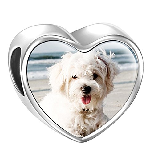 SOUFEEL Abalorio Charm Pulsera de Foto Personalizado Plata de Ley Navidad Cumpleaño y Aniversario para Madre Mujer Niña SOUFEEL Abalorio Charm Pulsera de Foto Personalizado Plata de Ley Navidad Cumpleaño y Aniversario para Madre Mujer Niña