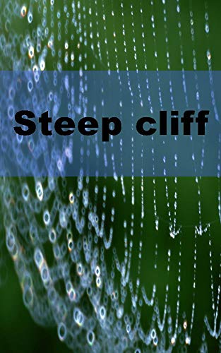 Steep cliff (Italian Edition)