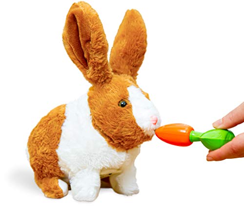 Think Gizmos Juguete Interactivo Tipo Conejito para Niños y Niñas de 3 4 5 6 7 8 años – Juguete Electrónico con Sonidos y Movimiento – Animales de Juguete Realistas Tipo Mascota de Peluche - TG813 Think Gizmos Juguete Interactivo Tipo Conejito para Niños y Niñas de 3 4 5 6 7 8 años – Juguete Electrónico con Sonidos y Movimiento – Animales de Juguete Realistas Tipo Mascota de Peluche - TG813