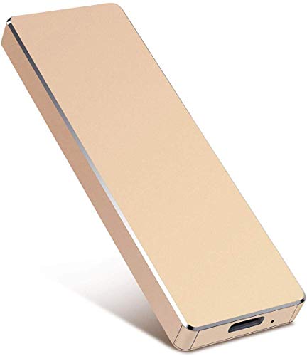 USB 2.0 portátil de 2 TB de disco duro externo compatible con Mac Laptop y PC (Gold)