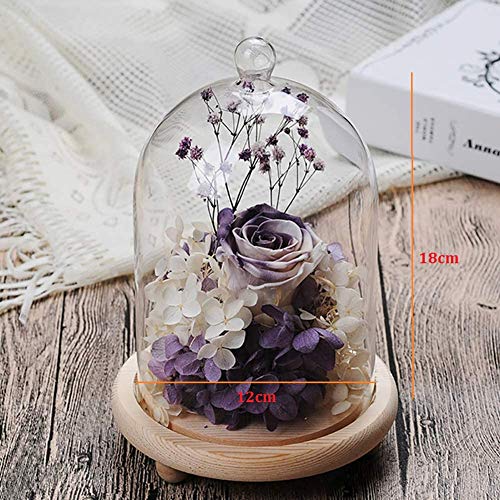Warmiehomy Campana de Vidrio Decoracion, Campana de Cristal Decorativa con Base de Madera, Cúpula de Vidrio, Cupula de Cristal, Urna Cristal Decorativa, Transparente Warmiehomy Campana de Vidrio Decoracion, Campana de Cristal Decorativa con Base de Madera, Cúpula de Vidrio, Cupula de Cristal, Urna Cristal Decorativa, Transparente