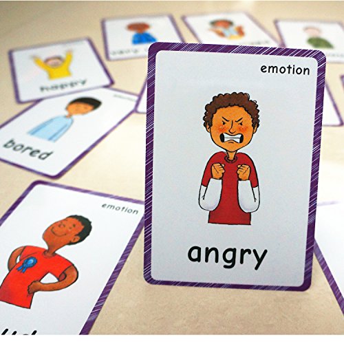14 Pcs Feelings Emotions Flash Cards| Sentiment| Memory Game | Preschool Educational Learning English Games & First Words Cards(basic english vocabulary cards & cards pocket for kids )12x9cm(inglés)