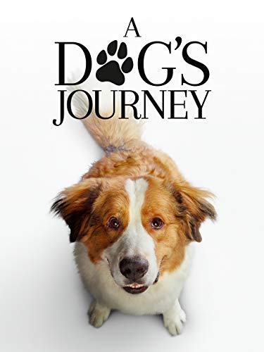 A Dog's Journey A Dog's Journey