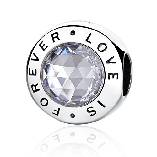 Abalorio de plata de ley 925 y circonita cúbica transparente con la inscripción «Family forever» compatible con las pulseras europeas y con (Love Forever) Abalorio de plata de ley 925 y circonita cúbica transparente con la inscripción «Family forever» compatible con las pulseras europeas y con (Love Forever)