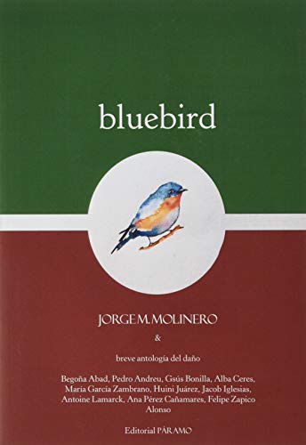 Bluebird: y breve antología del daño