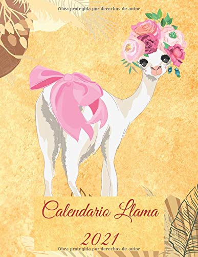 Calendario Llama 2021: Calendario mensual 2021 ilustrado con llamas con una gran foto y fechas de calendario, espacios para registrar los ingresos, gastos, fechas importantes, metas, logros y notas