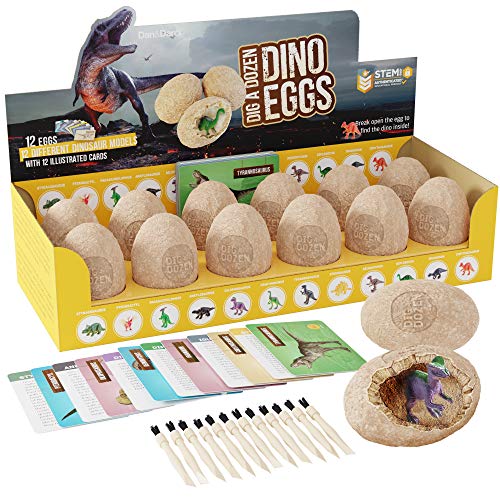 Cave una Docena de Huevos de Dinosaurio - Abra 12 Huevos de Dinosaurio Únicos y Descubra 12 Bellos Dinosaurios : la Ciencia de la Arqueología de Pascua Regalo Stem