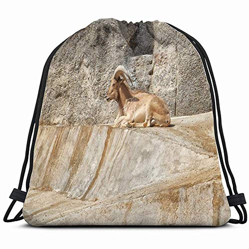 Ccsoixu Barcelona Spain Barbary Sheep Only Wild Animals Wildlife Animal Drawstring Backpack Bag For Kids Boys Girls Teens Birthday, Gift String Bag Gym Cinch Sack For School and Party